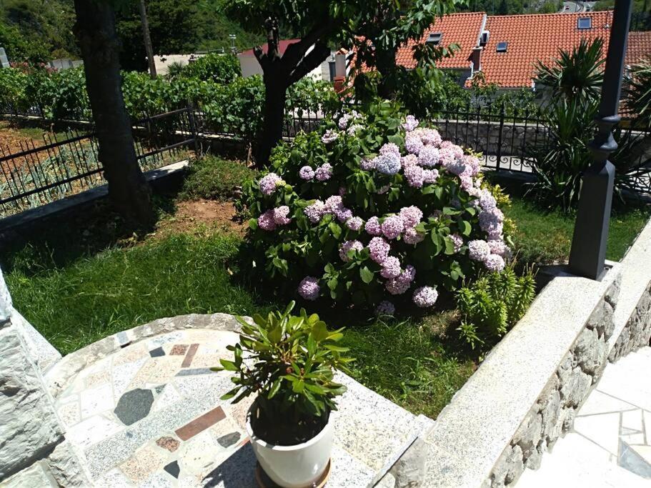Apartment Mediterranean Garden Rijeka Ngoại thất bức ảnh