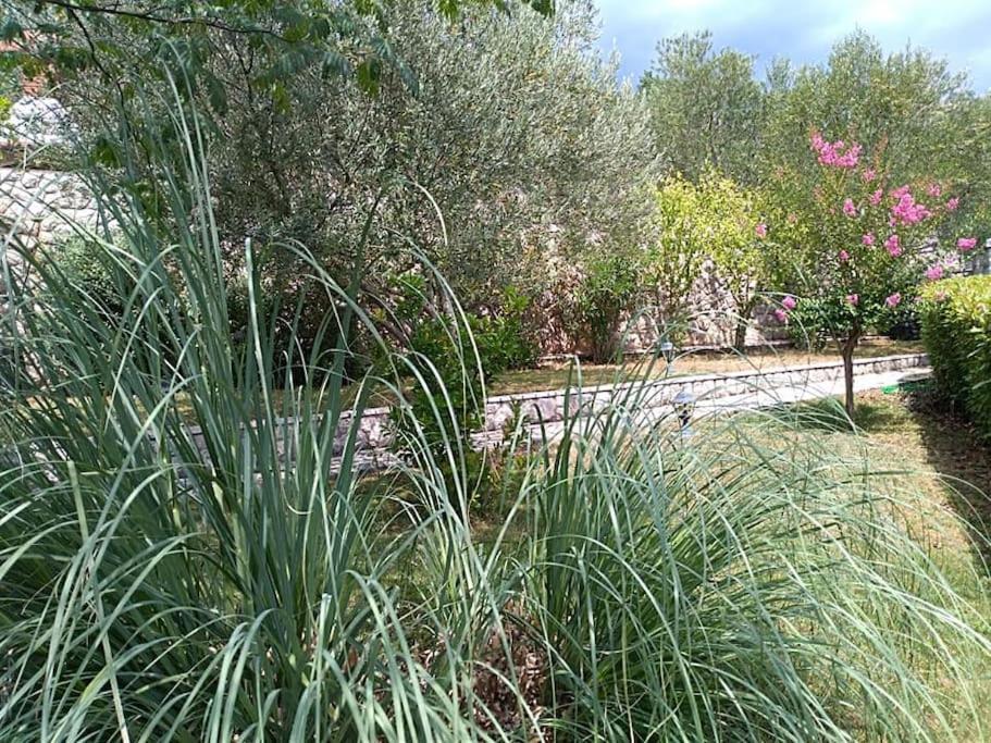 Apartment Mediterranean Garden Rijeka Ngoại thất bức ảnh