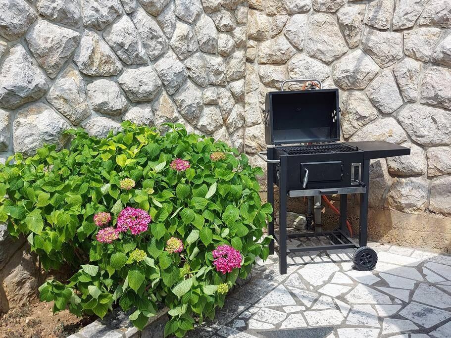 Apartment Mediterranean Garden Rijeka Ngoại thất bức ảnh