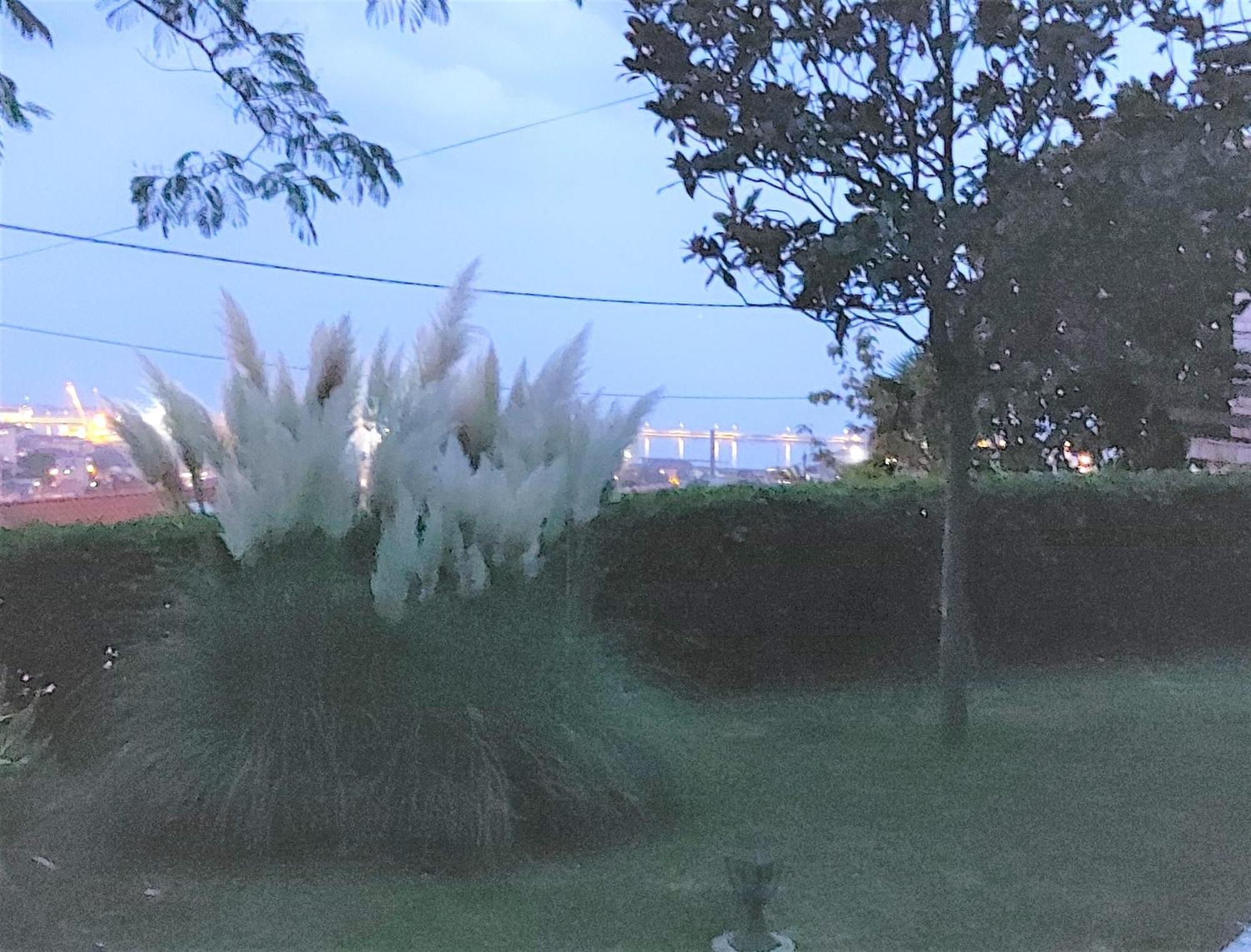 Apartment Mediterranean Garden Rijeka Ngoại thất bức ảnh