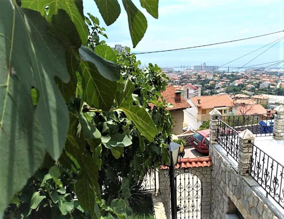Apartment Mediterranean Garden Rijeka Ngoại thất bức ảnh