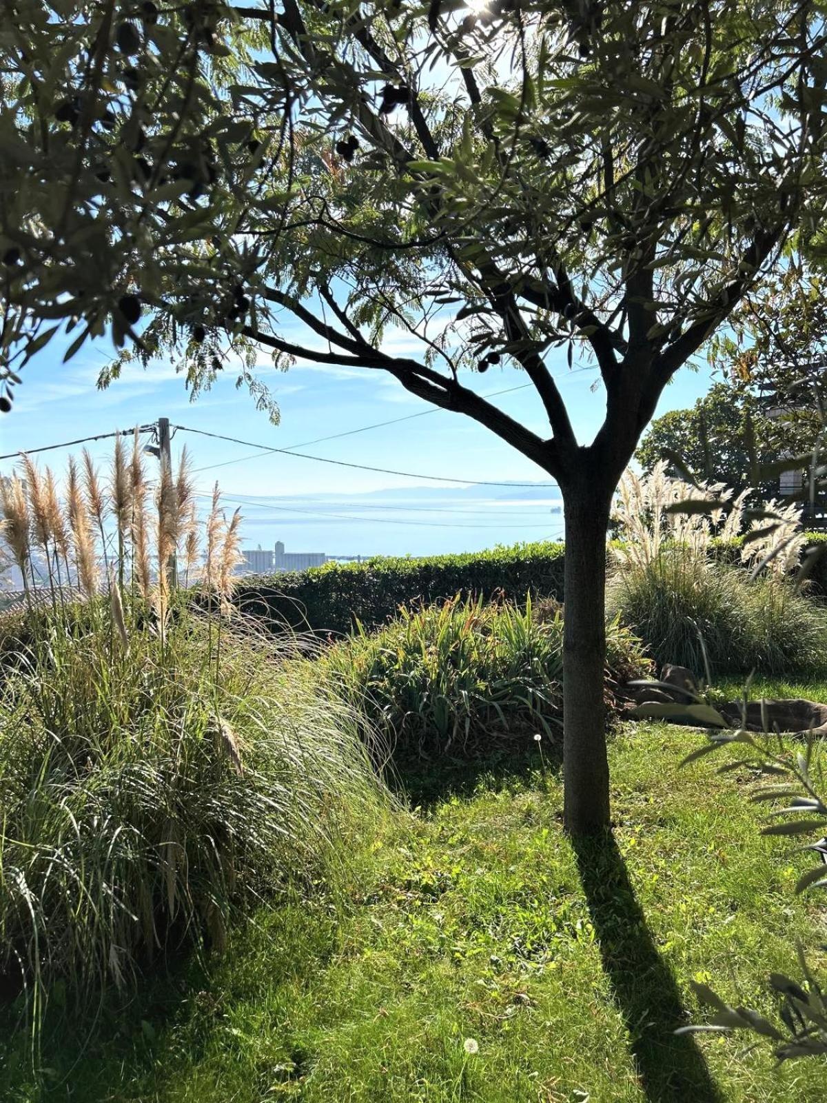 Apartment Mediterranean Garden Rijeka Ngoại thất bức ảnh